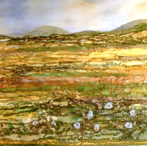 Summer Fields